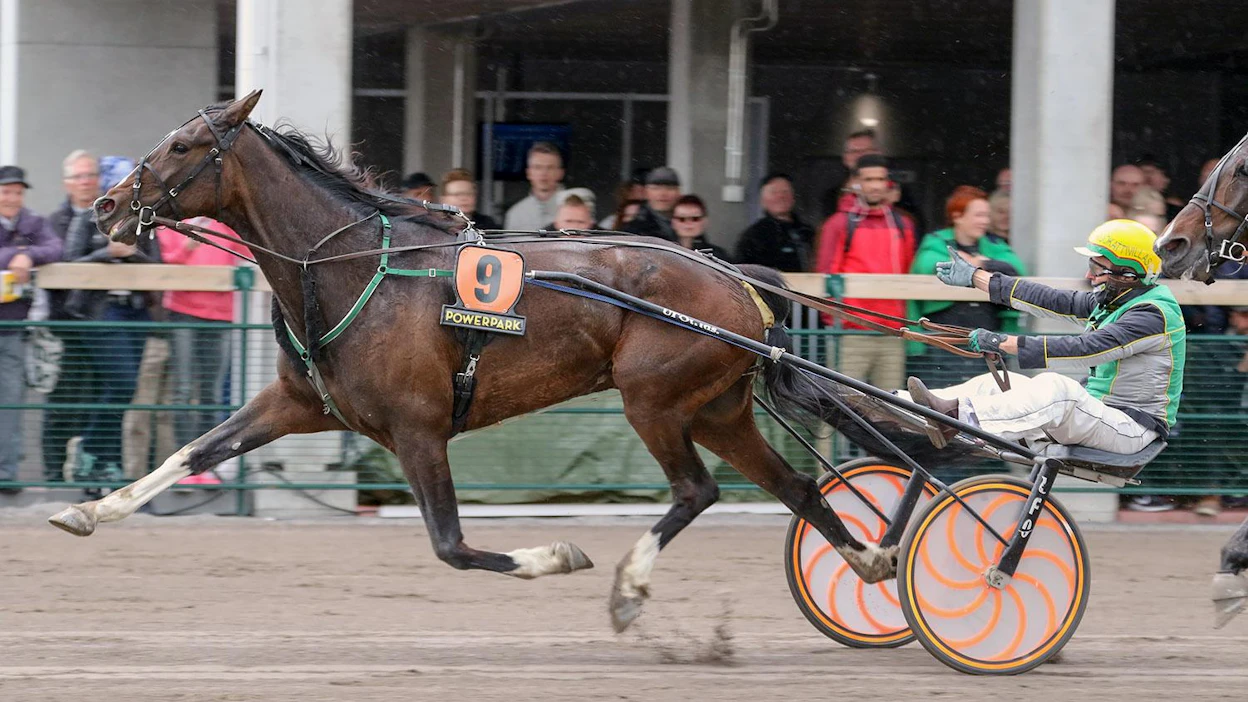 Steel Anemonen riemukas kiri täytti Veikko Tolkkisen odotukset nopeasta revanssista.