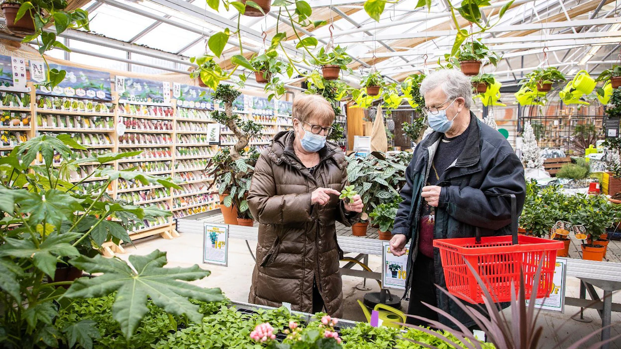 Helsinkiläiset Pirjo ja Pentti Naakka olivat tulleet Pirilän Kukkataloon Tuusulaan lehti-ilmoituksen perusteella katsomaan kesäkukkien taimia. Viime vuoden kokemukset kesäkukkien taimista olivat positiivisia. Poikkeusolot eivät ole vaikuttaneet puutarhaharrastukseen.