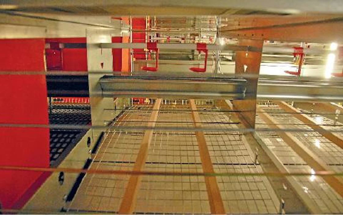 Häkki voidaan varustaa myös puisilla orsilla. Tuomisen tilalla oli asennettuna molempia orsivaihtoehtoja. Käytön myötä selviävät ratkaisujen erot. Kuvassa näkyy myös häkin keskirehukouru ja punaiset juomakupit.