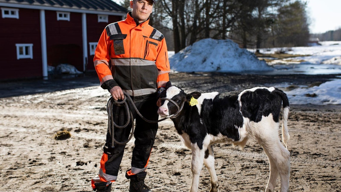 Juha Saukko aikoo nyt ryhtyä selvittämään, miten maidontuotanto tilalla pystytään hallitusti lopettamaan.
