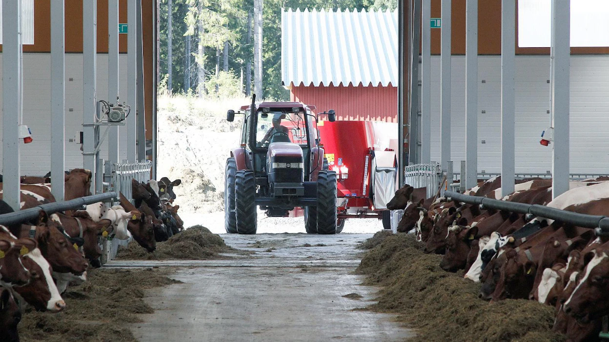 Maatalousyrittäjät vastaavat yksin työkyvystään usein ilman työyhteisön tai esimiesten tukea.