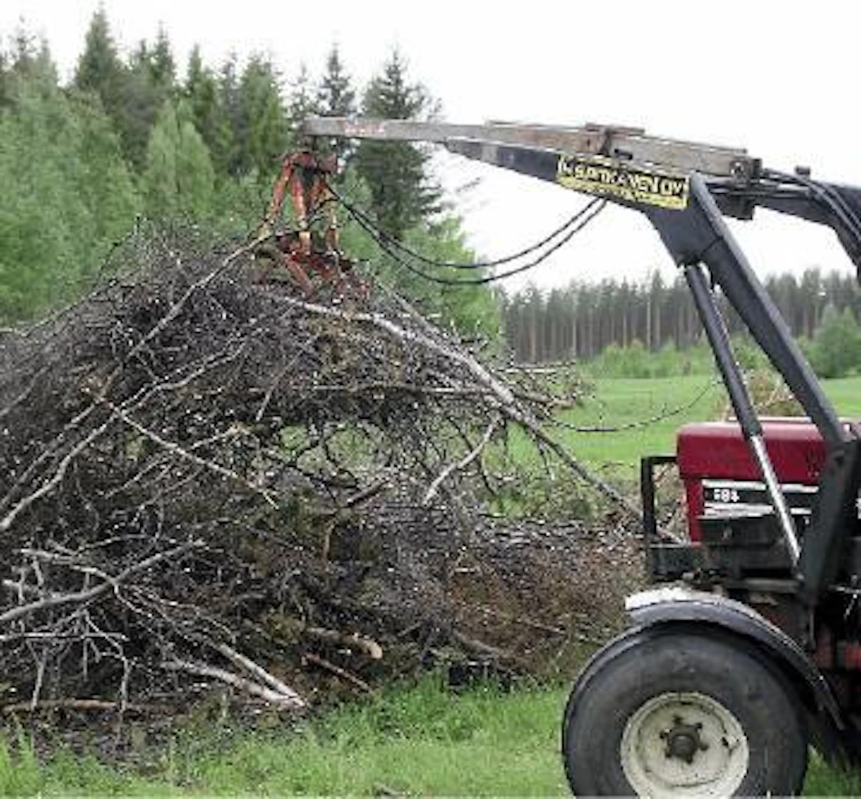 Risuja saa nostaa kerralla kunnon nyytin.