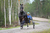 Kilpailukuntoa lähestyvä Sambuca Knight ja Jani Peräsalo treenilenkillä Ylihärmässä.