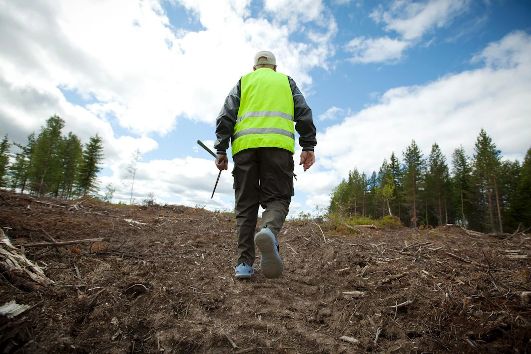 Suomessakin avohakataan, mutta Pohjois-Ruotsissa hakkuualueet ovat suurempia.