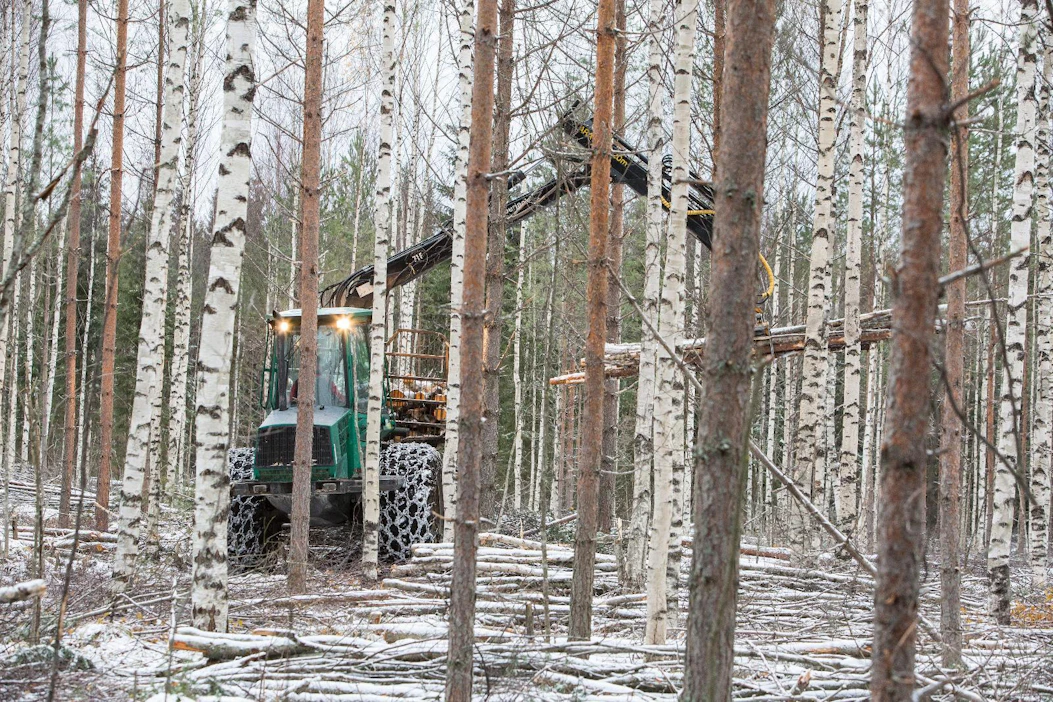 Nuoren metsän hoidon tukihaku avautuu pitkän hakukiellon jälkeen ensi torstaina.