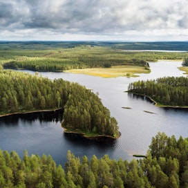 Kuvassa näkymä Ilomantsista Petkeljärven maisemista, minne on perusteilla Petkeljärvi-Putkelanharjun luonnonsuojelualue. Jokamiehenoikeudet pysyvät tällä tietoa uusilla luonnonsuojelualueilla ennallaan.