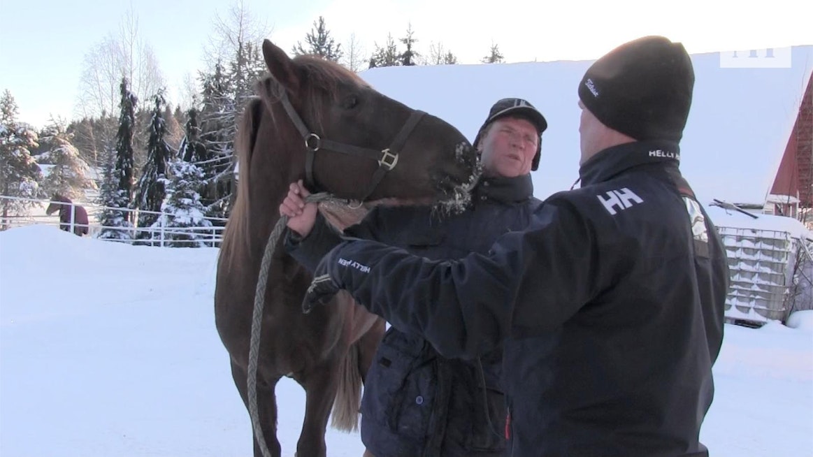 Leo Mönttinen, kuvassa Lähdekorven haastattelussa, ei jää tuleen makaamaan, vaan tallissa on taas uusia kuvioita.