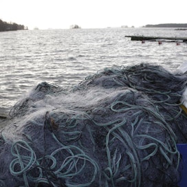 Suomen luonnonsuojeluliiton järjestämässä Vaihda verkot katiskaan -tapahtumassa Saimaan alueen vapaa-ajankalastajat luovuttivat pois vanhoja kalaverkkojaan. Kuva ei liity tapaukseen.