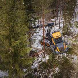 Vaikka Suomessa hakattiin puuta viime vuonna kaikkien aikojen ennätysmäärä, puunkorjuuyritysten tulokset jäivät keskimäärin vaatimattomiksi.