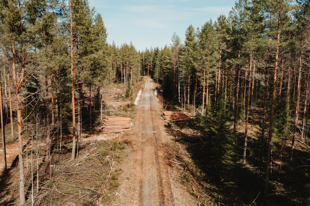 Alkuvuonna metsänomistajat ovat myyneet Metsäteollisuus ry:n jäsenille 8,1 miljoonaa kuutiota puuta.