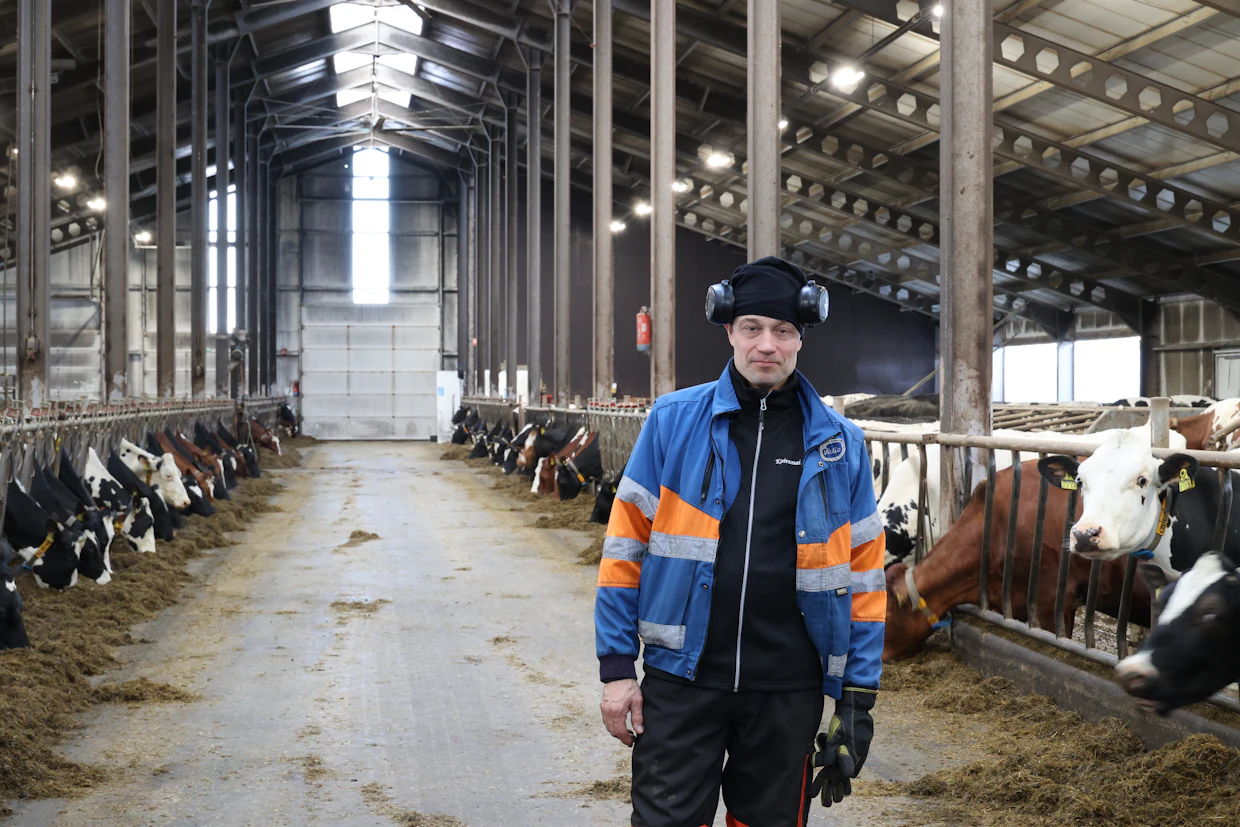 Ari Lajunen on tyytyväinen ison navettansa teknisiin valintoihin. 250 lehmää lypsetään kaksi kertaa päivässä takaalypsyasemalla ja ruokitaan täysappeella.