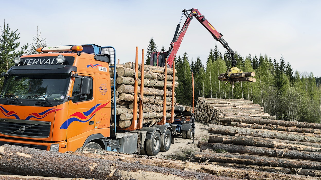 Suomessa on viime vuosina keskusteltu paljon hakkuumääristä. Myös Ruotsissa on hakattu puuta lähes ennätysmääriä viime vuosina. Kuvituskuva.