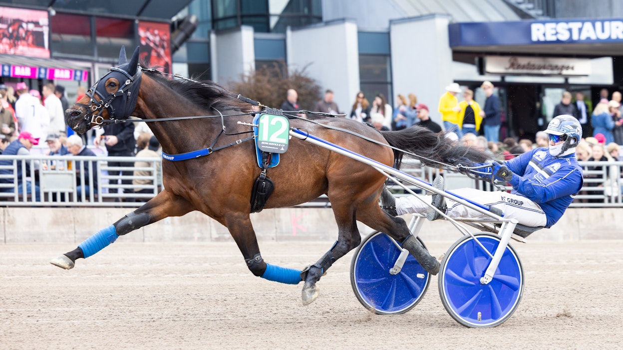 Big Ben Pellini palaa tositoimiin pitkältä tauolta.