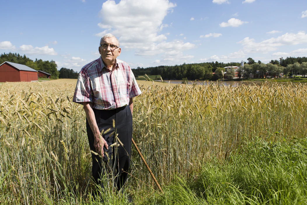 Heinäkuussa edesmennyt Heikki Haavisto oli arvostettu järjestöjohtaja, mutta itse hän koki olevansa ennen kaikkea talonpoika. Hän asui kotonaan Raision Hintsan tilalla menehtymiseensä saakka. Kuva on elokuulta vuonna 2015 Haaviston täyttäessä 80 vuotta.