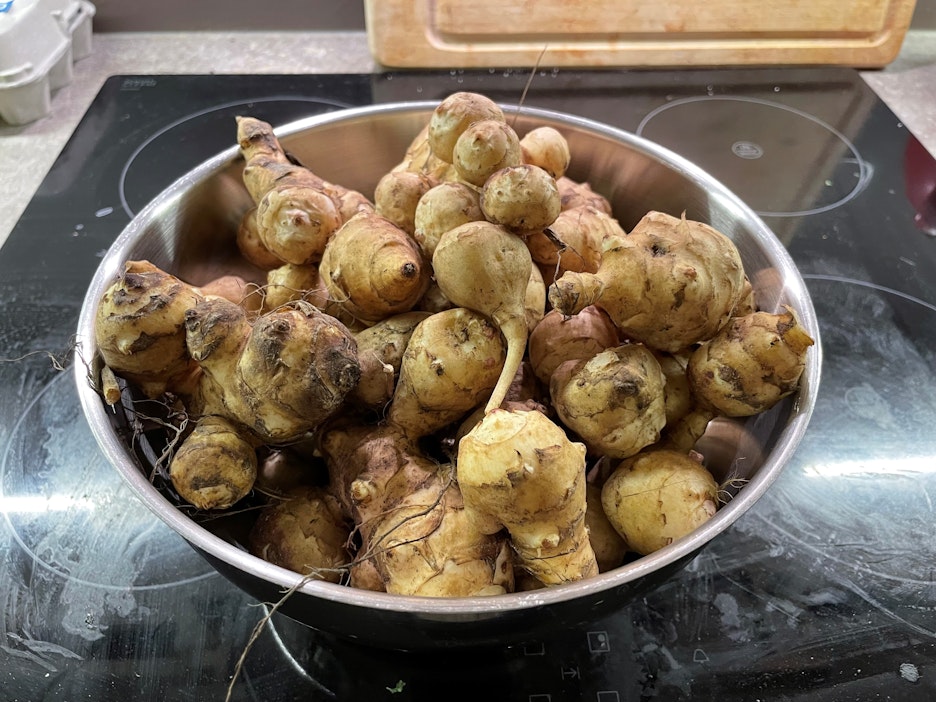 Maa-artisokan kuoriminen on työlästä.