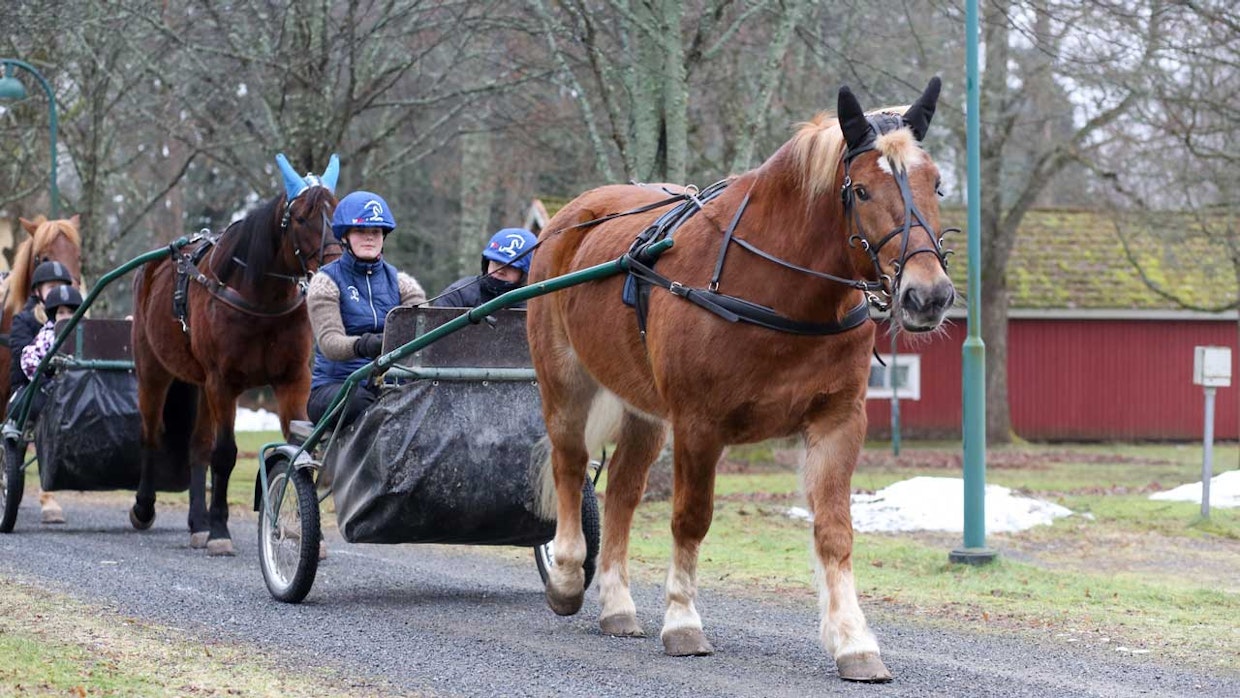 Hevosopiston opiskelijat Avoimissa ovissa 2025.