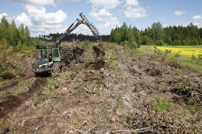 Virallisten arvioiden mukaan peltoa on raivattu viime vuosina noin 2 000–4 000 hehtaaria vuodessa.