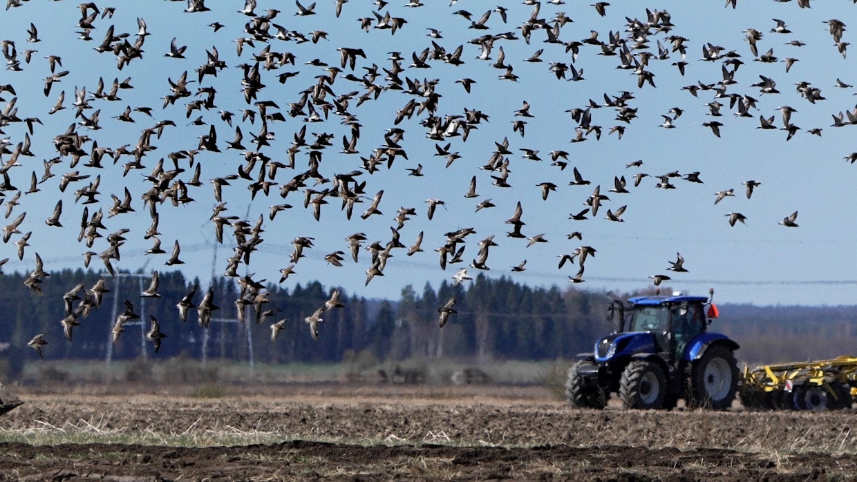 Dokumentti näyttää luonnon, eläinten ja maatalouden muutokset.