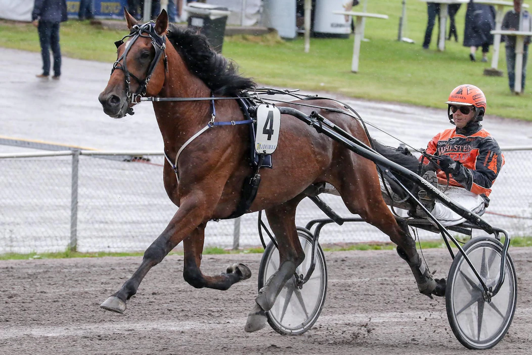 Hambovoittaja Stonecapes Picasso on ollut sivussa radoilta viime elokuusta lähtien.