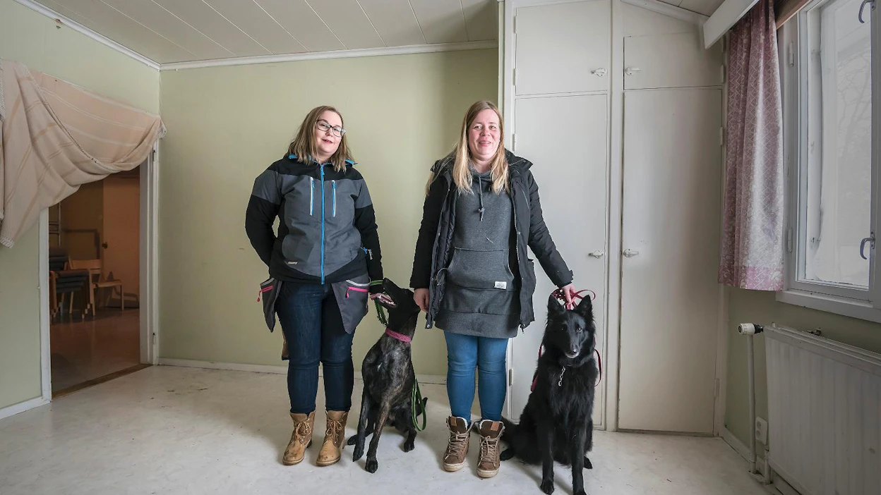 Marjukka Mörsky (vas.) ja Hanna Maronen sekä koiransa Kikka ja Moja opiskelevat Keski-Pohjanmaan kansanopistossa Kälviällä homekoiraohjaajakoulutuksessa.
