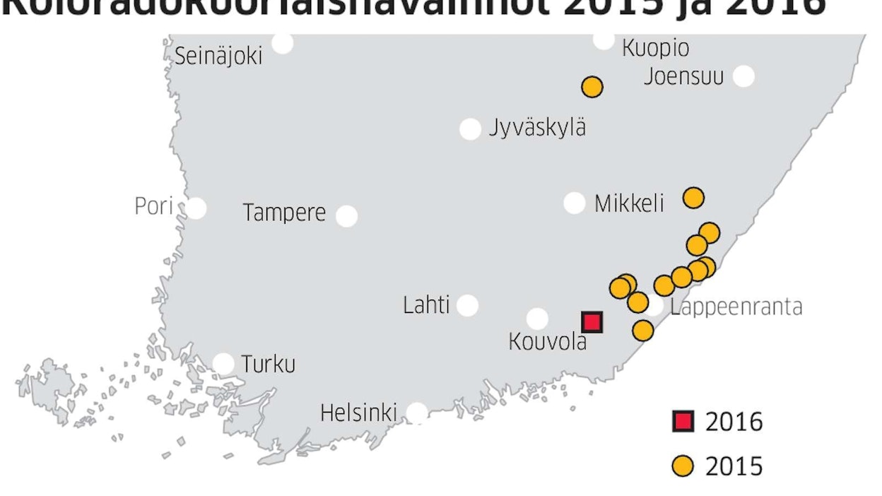 Viime vuonna kuoriaisesiintymiä oli 14. Tänä vuonna on tehty vain yksi havainto.
