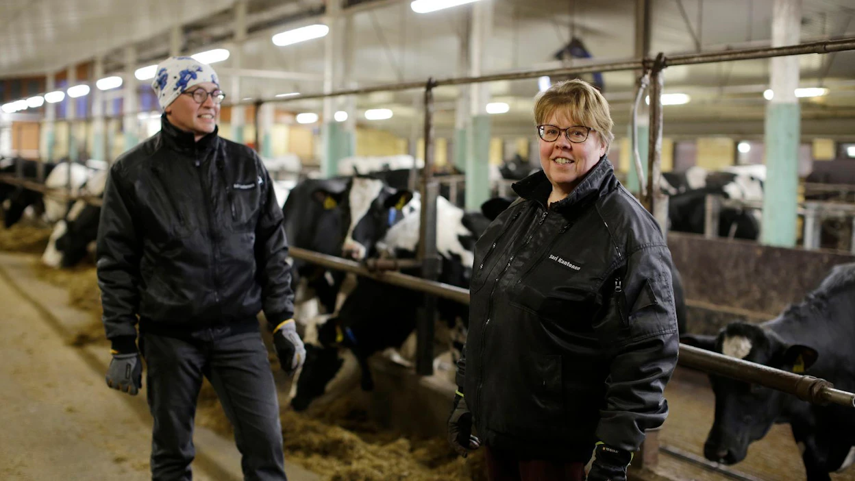 Taipalsaarelaisen maatalousyhtymä Kantonen ja Kallion osakkaat Sari ja Ari Kantonen arvostavat erityisesti hyvää utarerakennetta. Tilalla yrittäjien lisäksi kolme työntekijää.