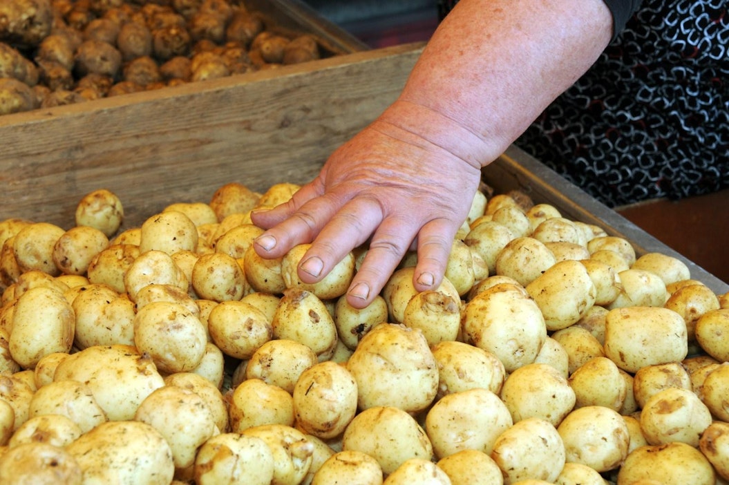 Uusia perunoita myynnissä Kauppatorilla Helsingissä alkukesästä 2011. LEHTIKUVA / SARI GUSTAFSSON