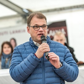 Juha Sipilä toteaa kolumnissaan, että keskusta on usein yksin puolustanut kotimaista ruuantuotantoa.
