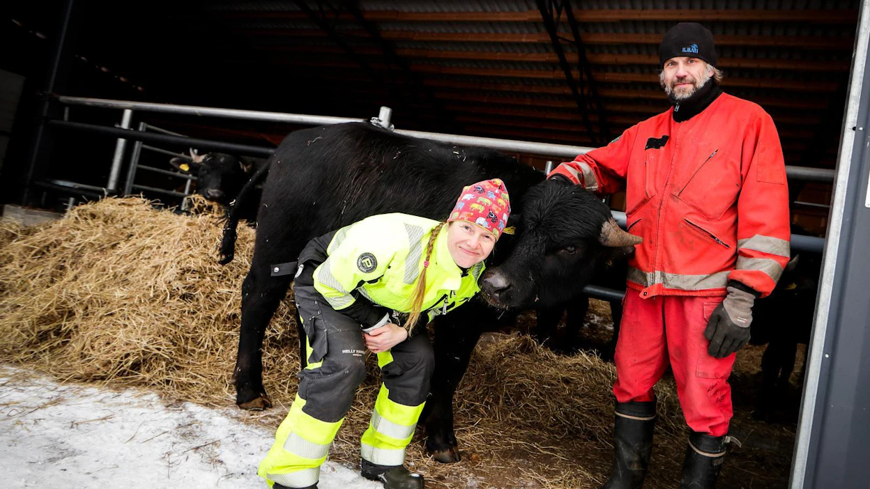 Vesipuhvelit tykkäävät läheisyydestä, Anniina Laurema ja Janne Kuusela kertovat. Kohta vuoden täyttävä Sauli on some-julkkis. Se pujahtaa aidanraosta minne mielii.