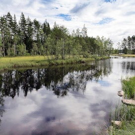 Suomessa on runsaasti pieniä, matalia järviä. Ilmastonmuutos lisää hiilidioksidin vapautumista järvistä ilmakehään.