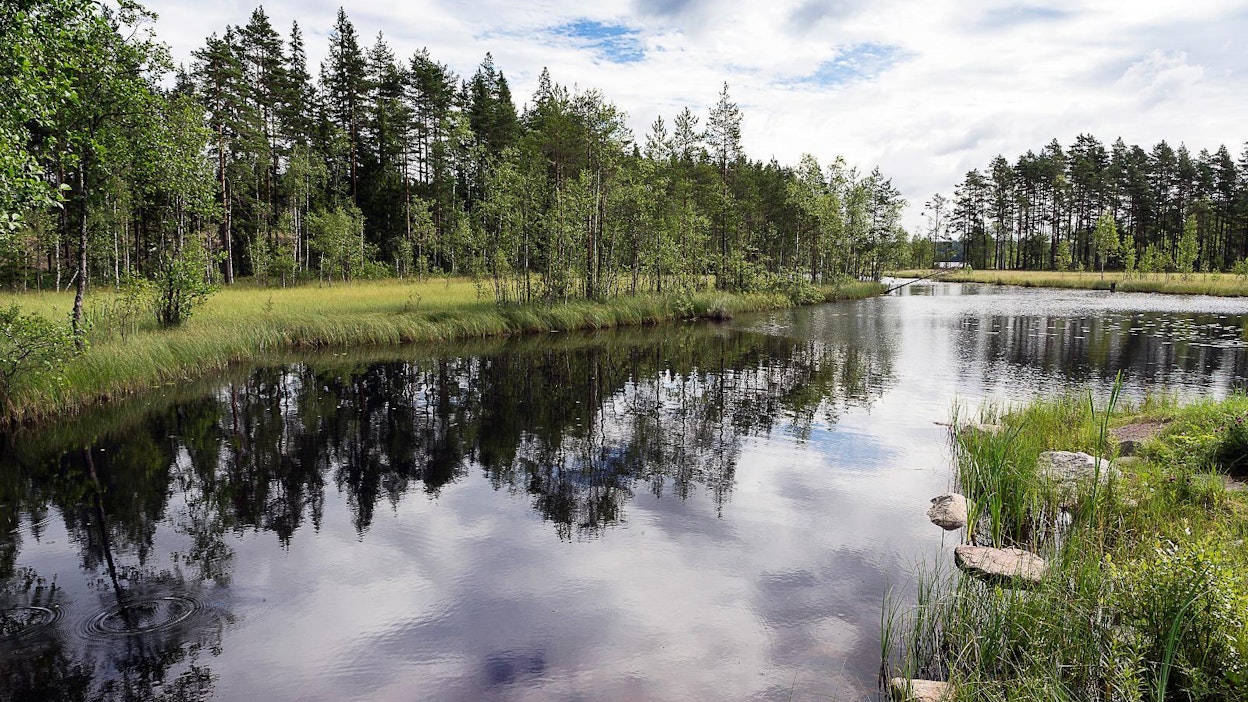Suomessa on runsaasti pieniä, matalia järviä. Ilmastonmuutos lisää hiilidioksidin vapautumista järvistä ilmakehään.