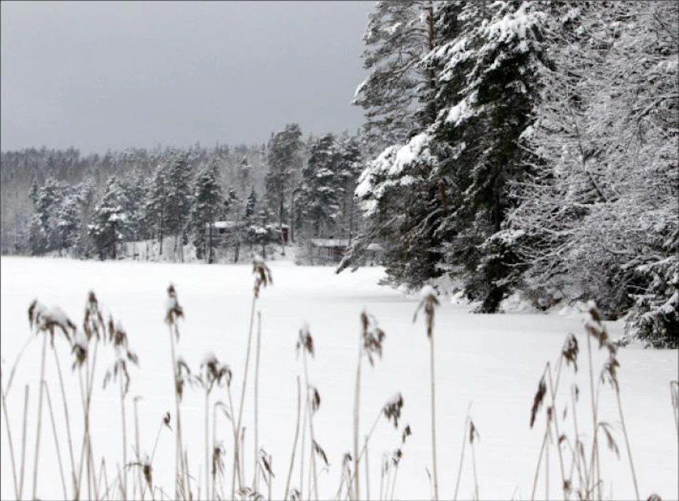 Kiinteistövero kohtelee suurten järvien rannoilla olevia loma-asuntoja todella rankasti, kirjoittaja toteaa. Jaana Kankaanpää