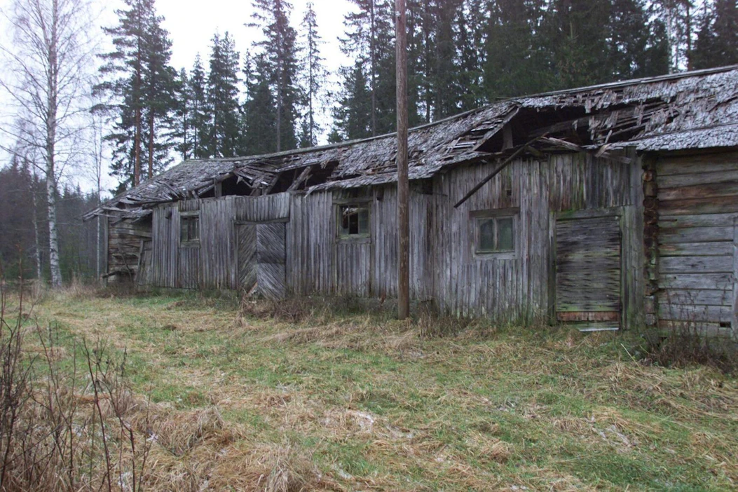 Hylättyjen kiinteistöjen purkuun kannustamalla Suomeen saataisiin lisää metsää, kokoomus visioi.