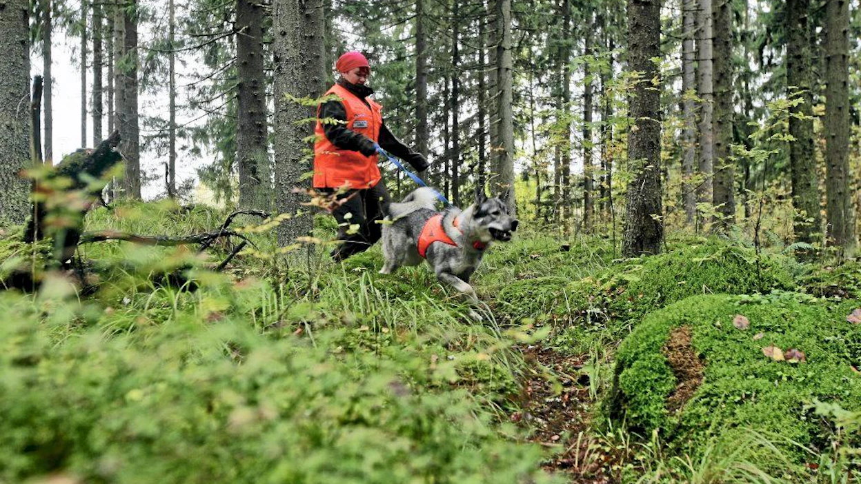 Suomen Metsästäjäliitto järjesti tiedotustilaisuuden jossa naismetsästäjät kertoivat harrastuksestaan ja opetusneuvos, keittiömestari Jaakko Kolmonen valmisti naisten tuomasta riistasta ruokaa. Anne Paajanen ja metsästyskoira.