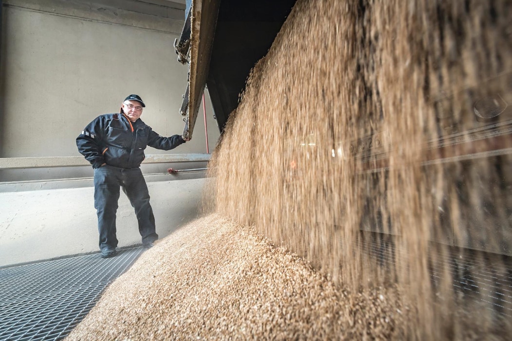 Ari Pöysti purki viljakuormaa Järvenpäässä Helsingin Myllyllä perjantaina.