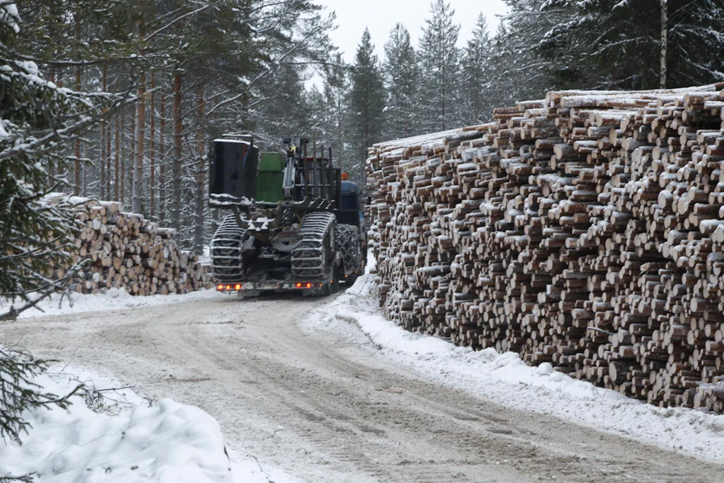 Palkitsemisella Metsähallitus Metsätalous Oy pyrkii lisäämään houkuttavuuttaan tarjouskilpailutuksissa.