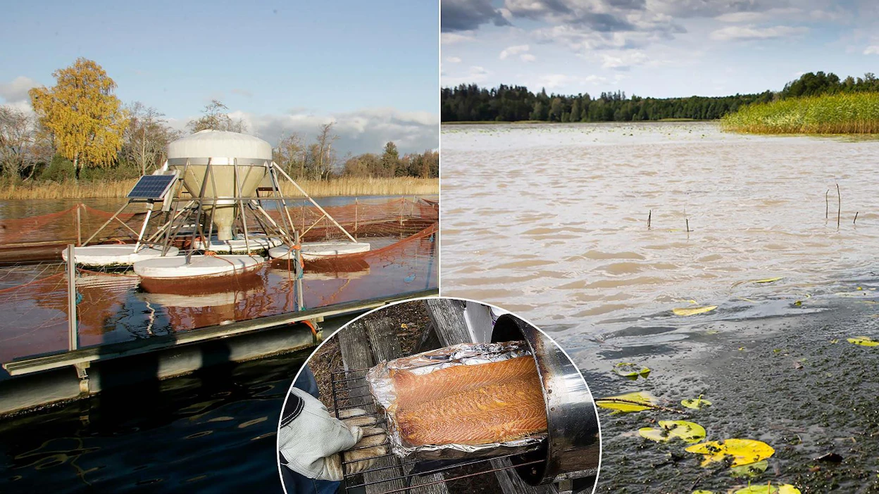 Itämeressä tapahtuvalle kalankasvatukselle on vaikea saada ympäristölupaa. Syynä on rannikkovesien tila, jonka heikkenemistä halutaan estää. Asiasta säätävät sekä kansalliset lait että EU-direktiivit. Kotimaisen kalaraaka-aineen huono saatavuus on merkittävä haitta kalatuotteita valmistaville yrityksille.