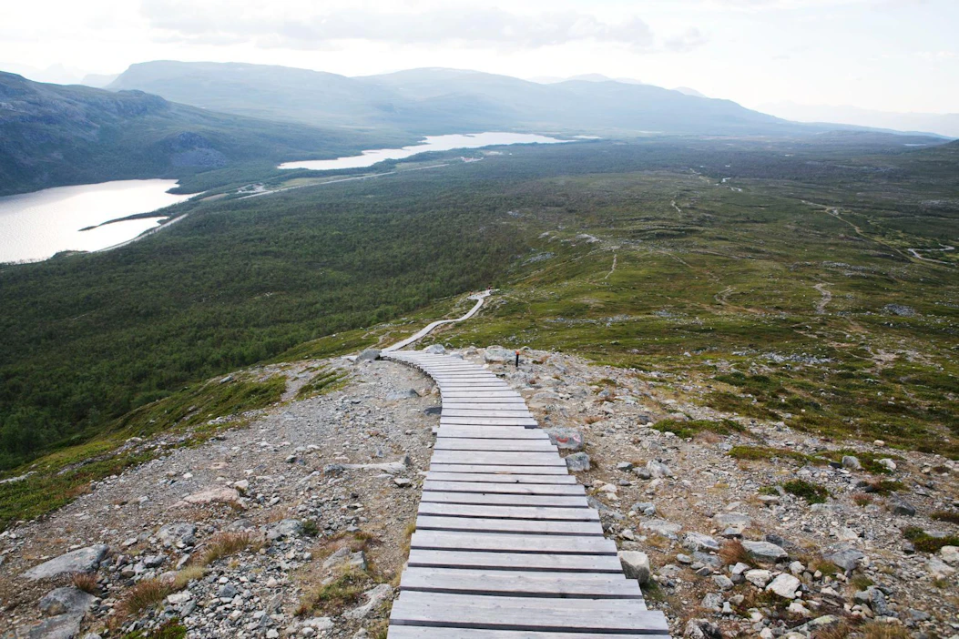 Kilpisjärven ja Oulangan kalkkialueet ovat jäkälälajistoltaan merkittävimpiä alueita Suomessa, ja niillä tavataan useita kansainvälisesti harvinaisia jäkälälajeja.