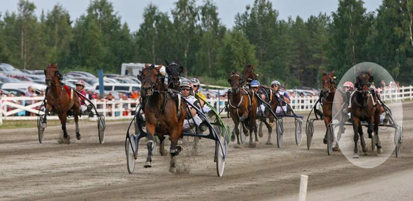 Ravia vai peitsiä? President Lindy hylkäys Einari Vidgrénin Muistoajossa on aiheuttanut jälkipuheita.