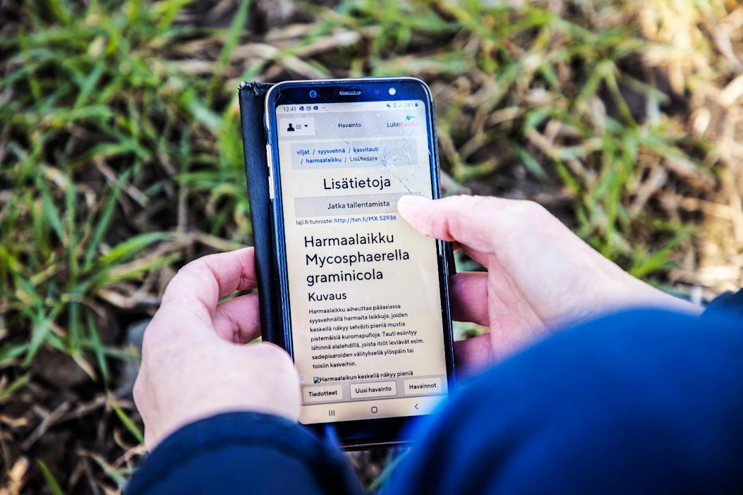 Selaimessa toimiva palvelu on toteutettu niin, että sitä on helppo käyttää kännykällä.