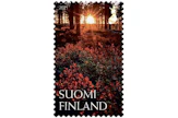Jukka Risikon Lapualla kuvaama metsäinen maisema vetosi suomalaisiin ympäri maata.