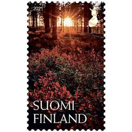 Jukka Risikon Lapualla kuvaama metsäinen maisema vetosi suomalaisiin ympäri maata.