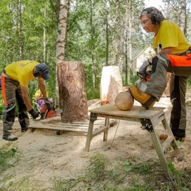 Vuonna 2020 Elli Viinikangas toimi Karhufestivaalin veisto­kisassa miehensä avustajana. Tulevana kesänä hän on itse mukana sahaamassa ja veistämässä karhuja.