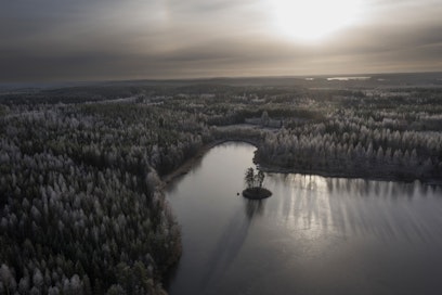 Top 100 -listalle päästääkseen täytyy omistaa metsää 1 188 hehtaaria.