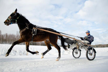 Tuomas Korvenoja ohjasti Uncomparablea joulukuussa 2015 Sipoossa.