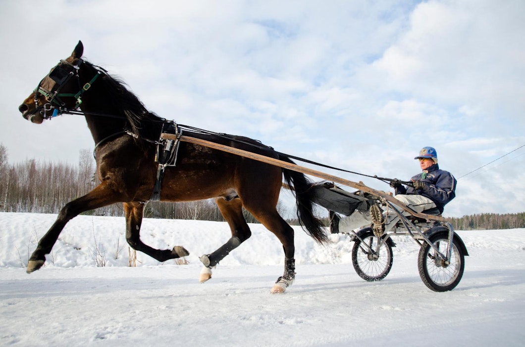 Tuomas Korvenoja ohjasti Uncomparablea joulukuussa 2015 Sipoossa.