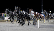 Kuvassa viime viikonloppuna Breeders Crownin voittava Önas Prince on Per Nordströmin valmentajahuipulle nousun keulakuva ja elämän hevonen. "Kuin automaattivaihteisella autolla ajaisi."