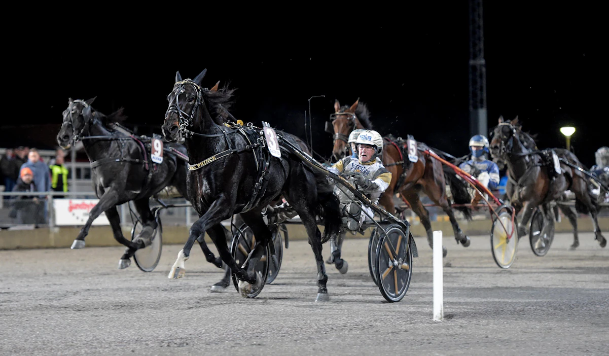 Kuvassa viime viikonloppuna Breeders Crownin voittava Önas Prince on Per Nordströmin valmentajahuipulle nousun keulakuva ja elämän hevonen. "Kuin automaattivaihteisella autolla ajaisi."