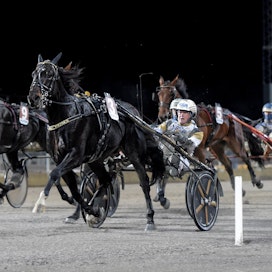 Kuvassa viime viikonloppuna Breeders Crownin voittava Önas Prince on Per Nordströmin valmentajahuipulle nousun keulakuva ja elämän hevonen. &quot;Kuin automaattivaihteisella autolla ajaisi.&quot;