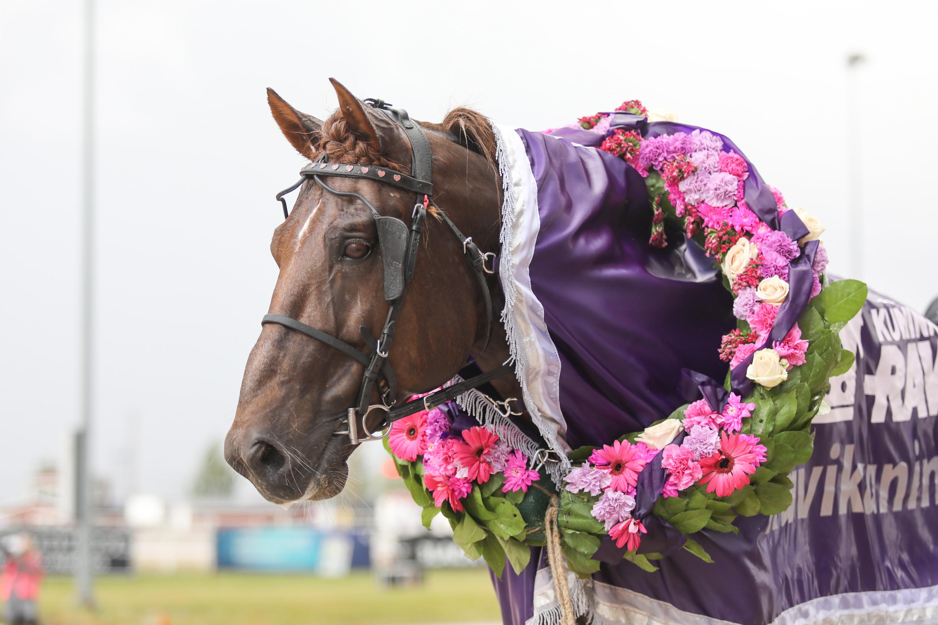Evartti ei tavoittele neljättä kuninkuutta Oulun Kuninkuusraveissa.